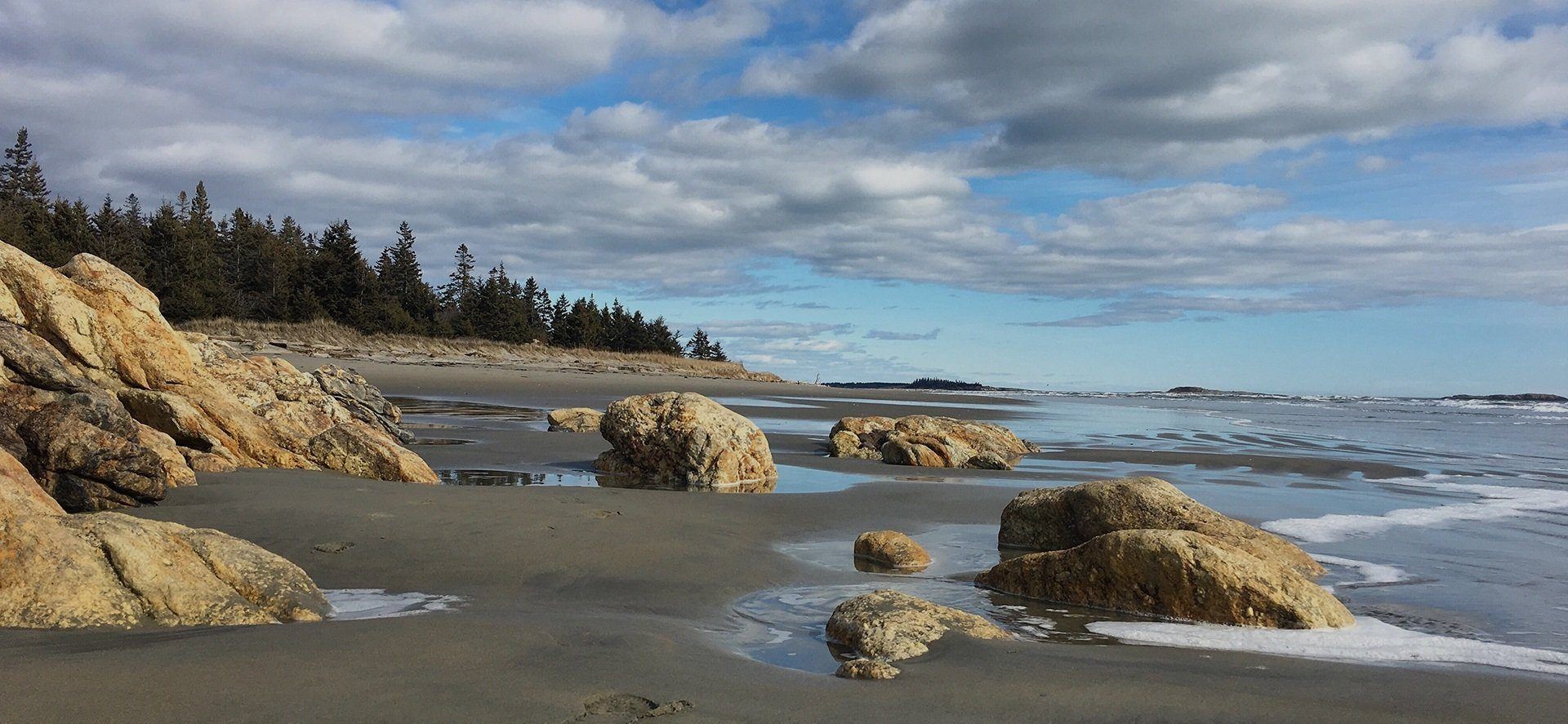 Beach and ocean