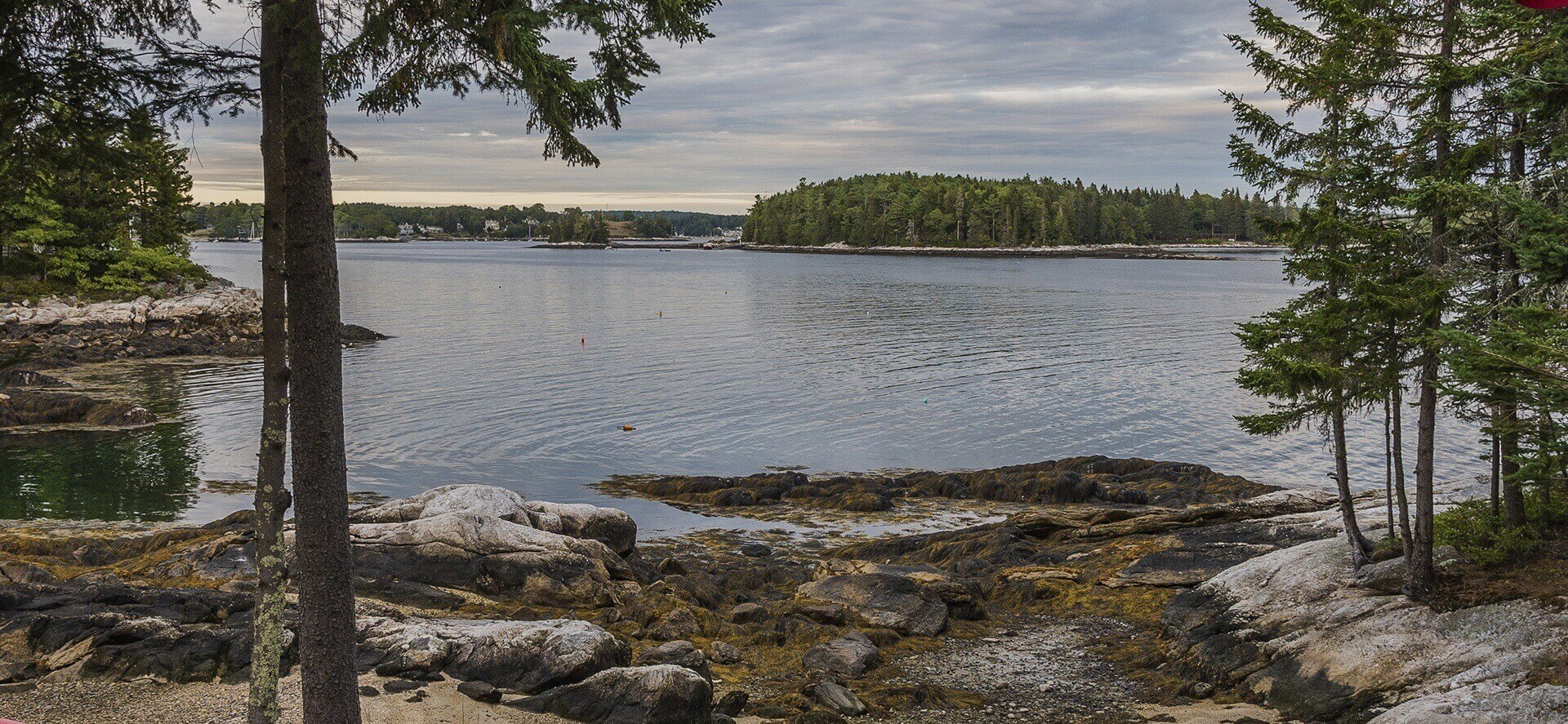 Forests and ocean